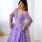Designer Embroidered Net Lehenga Choli with Dupatta