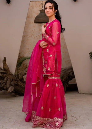 Diamond Georgette Embroidered Sharara Set with Dupatta