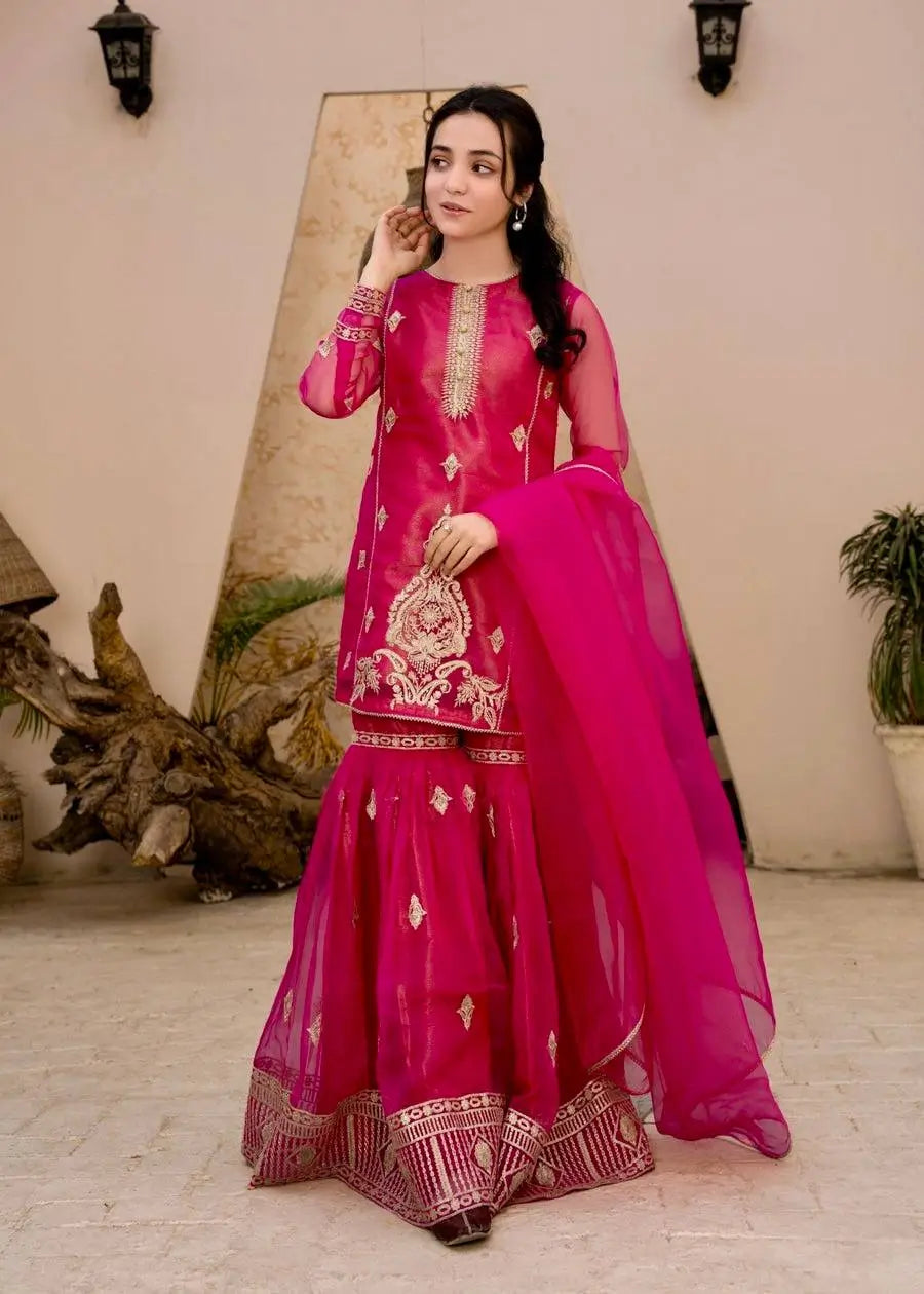 Diamond Georgette Embroidered Sharara Set with Dupatta