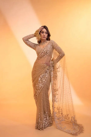 Elegant Butterfly Net Embroidered Saree for Wedding, Festive and Reception Wear