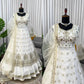 Elegant Embroidered Net Gown Lehenga Set