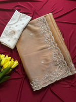 Elegant Embroidered Tissue Silk Saree with Designer Blouse