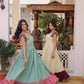 Embroidered Cotton Flair Gown