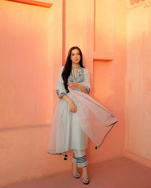 Embroidered Georgette Kurta Pant Set for Festive and Occasion Wear