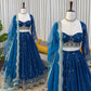 Embroidered Georgette Lehenga Choli Set with Net Dupatta