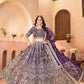 Embroidered Net Lehenga Set