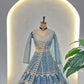 Embroidered Net Lehenga Set