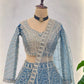Embroidered Net Lehenga Set
