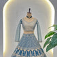 Embroidered Net Lehenga Set