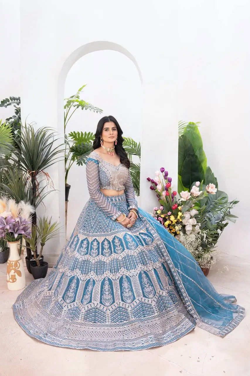 Embroidered Net Lehenga Set