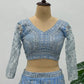 Embroidered Net Lehenga Set