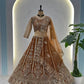 Embroidered Net Lehenga Set