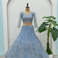 Embroidered Net Lehenga Set