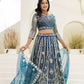 Embroidered Net Lehenga Set