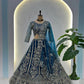 Embroidered Net Lehenga Set