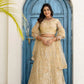 Embroidered Net Lehenga Set