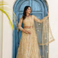 Embroidered Net Lehenga Set
