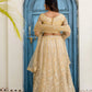 Embroidered Net Lehenga Set