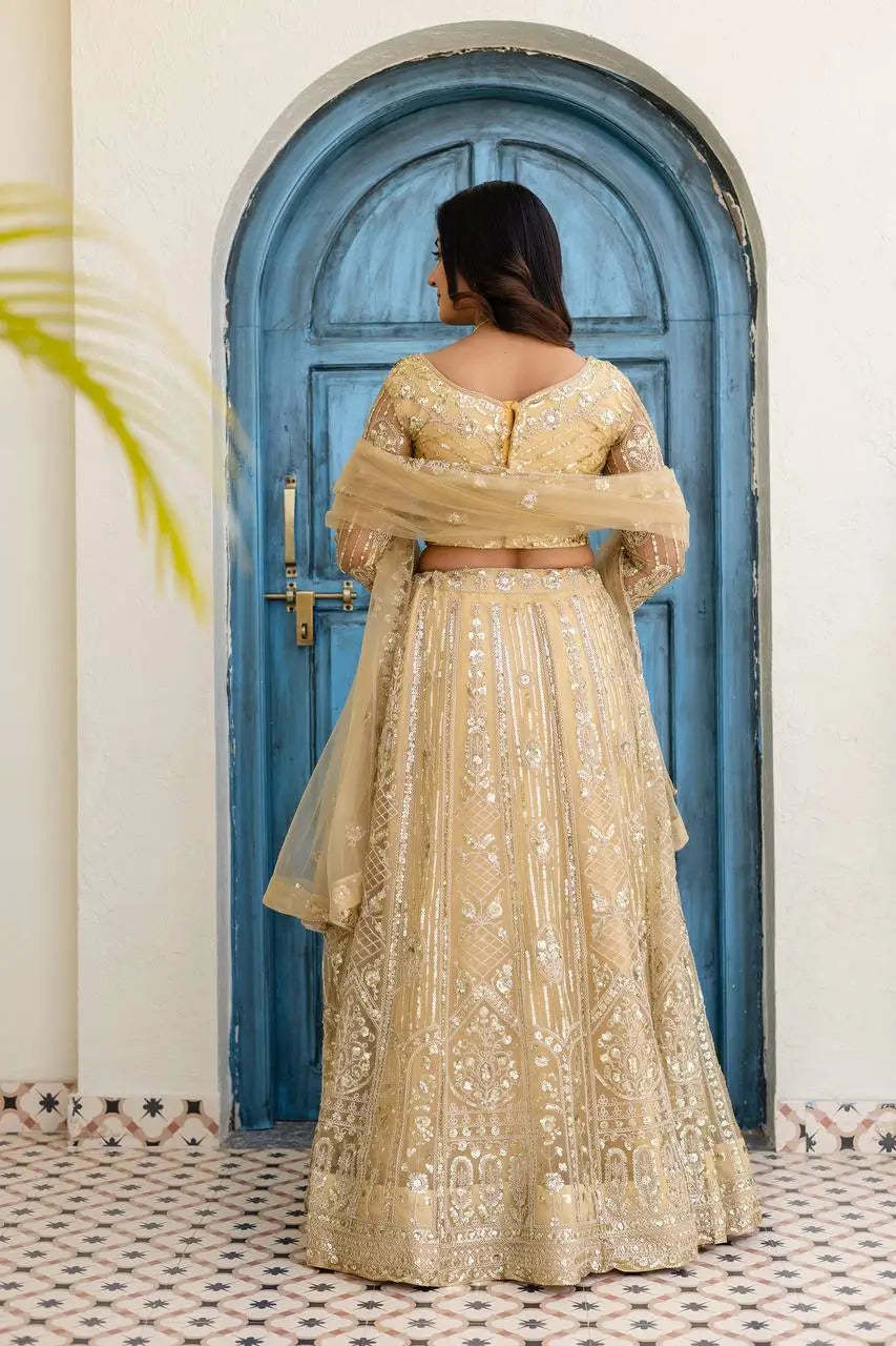 Embroidered Net Lehenga Set