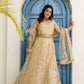 Embroidered Net Lehenga Set