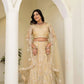 Embroidered Net Lehenga Set