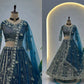 Embroidered Net Lehenga Set