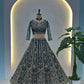 Embroidered Net Lehenga Set