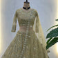 Embroidered Net Lehenga Set