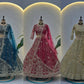 Embroidered Net Lehenga Set