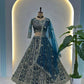 Embroidered Net Lehenga Set