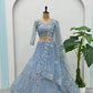 Embroidered Net Lehenga Set