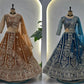Embroidered Net Lehenga Set