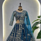 Embroidered Net Lehenga Set