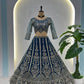 Embroidered Net Lehenga Set