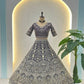 Embroidered Net Lehenga Set