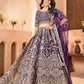 Embroidered Net Lehenga Set