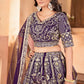 Embroidered Net Lehenga Set