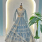 Embroidered Net Lehenga Set