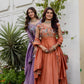 Embroidered Vichitra Silk Gown with Dupatta for Festive and Party Wear