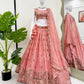 Gold Crush Embroidered Lehenga Set