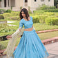 Gold Crush Embroidered Lehenga Set