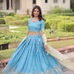 Gold Crush Embroidered Lehenga Set