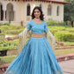 Gold Crush Embroidered Lehenga Set