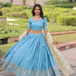 Gold Crush Embroidered Lehenga Set