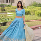 Gold Crush Embroidered Lehenga Set