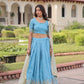 Gold Crush Embroidered Lehenga Set