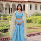 Gold Crush Embroidered Lehenga Set