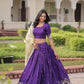 Gold Crush Embroidered Lehenga Set