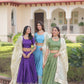 Gold Crush Embroidered Lehenga Set