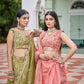 Gold Crush Embroidered Lehenga Set